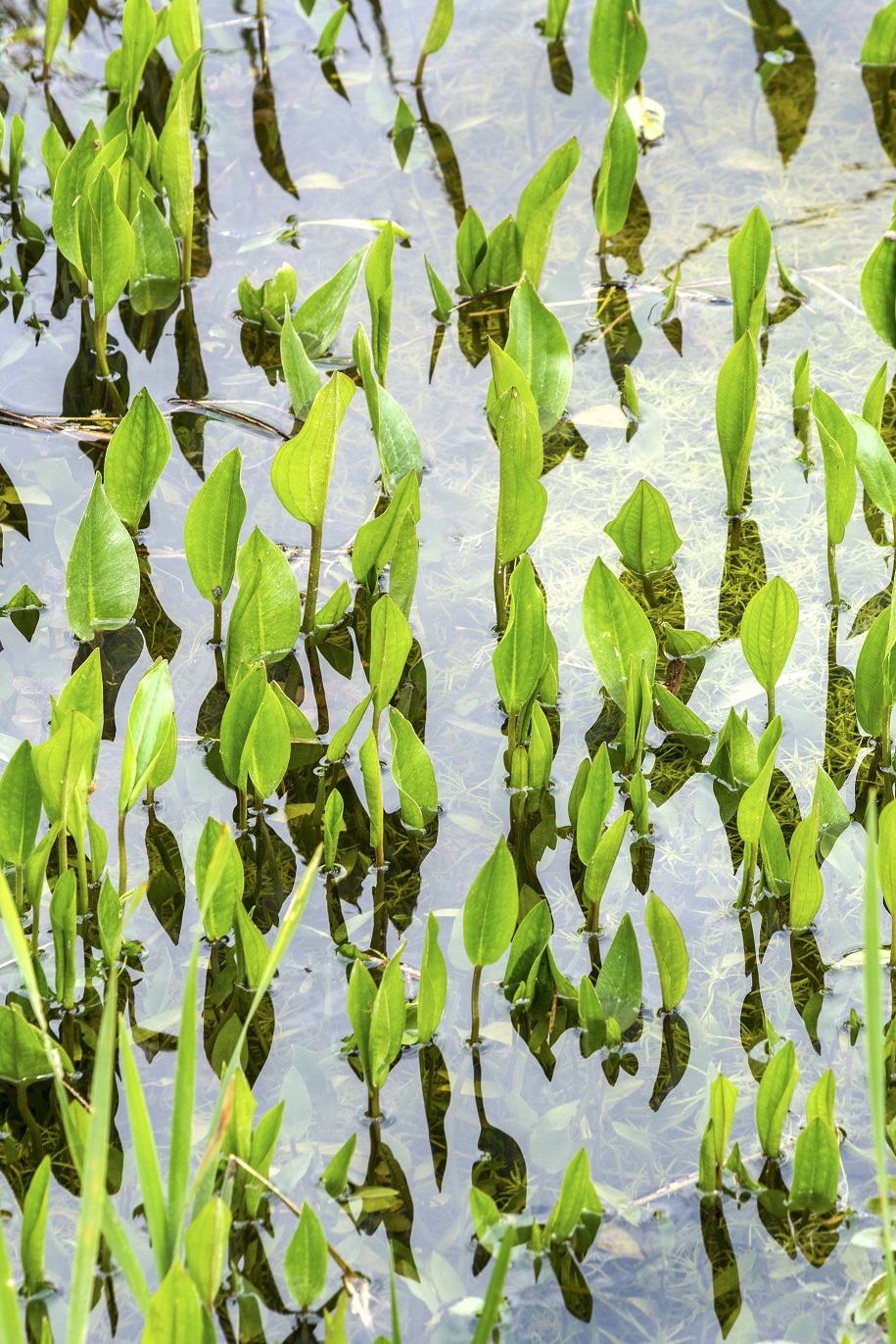 Fotografija avtorja Bernharda Hinza