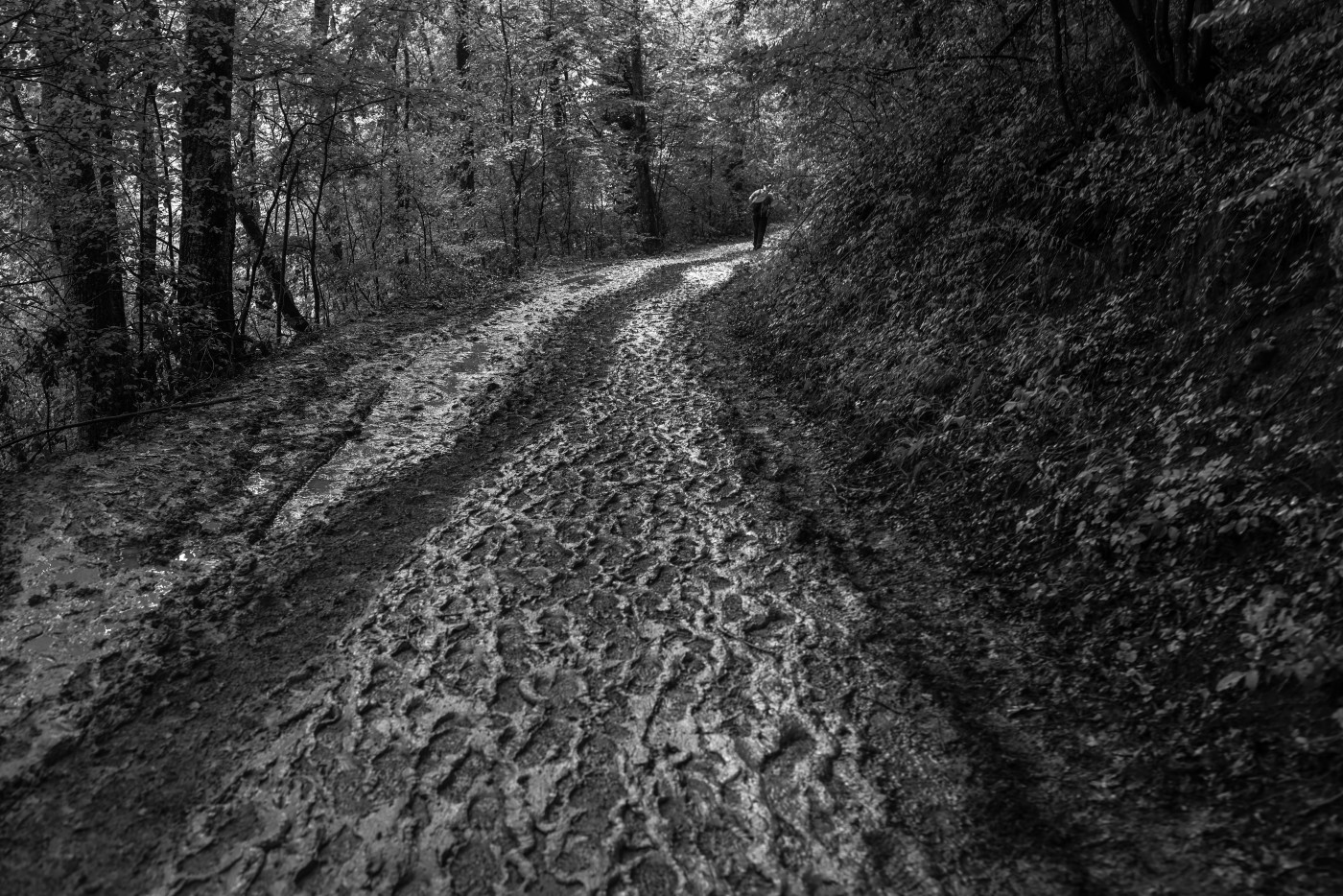 Slika Mateja Povseta - Mars mira razstava