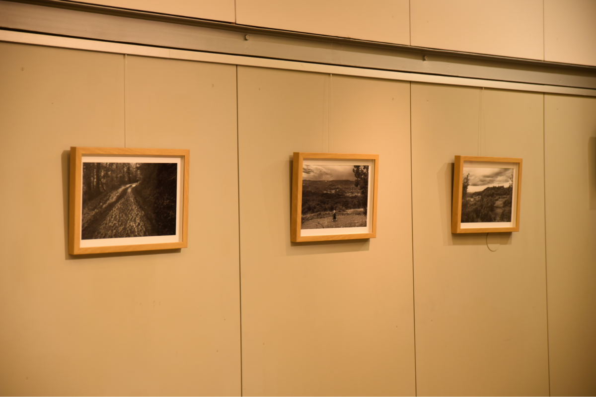 Na bež steni visijo trije okvirjeni črno-beli pokrajinski fotografiji, enakomerno razporejeni. Slike vzbujajo mirno in kontemplativno vzdušje.