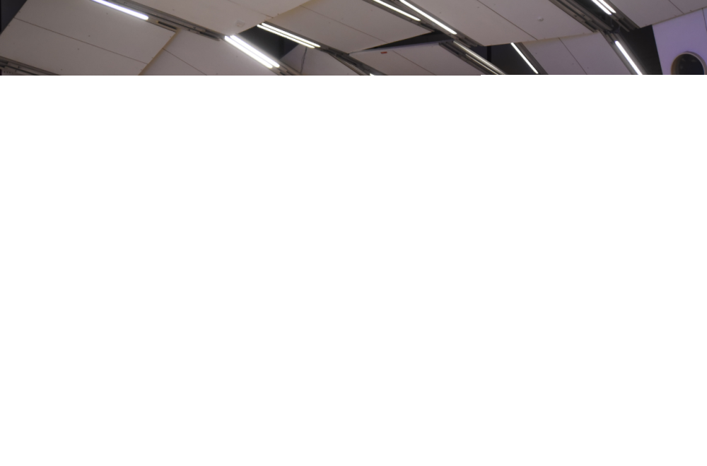 Ženska govori s govorniškega odra pred številčnim, pozorno poslušajočim občinstvom v sodobni dvorani. Prostor je dobro osvetljen, kar ustvarja zbrano, akademsko vzdušje.