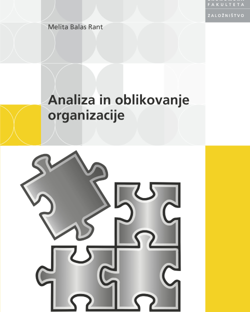 Analiza in oblikovanje organizacije